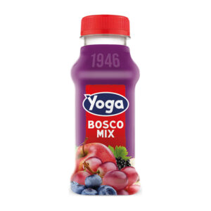 Yoga Succo Bosco Mix PET 250ml